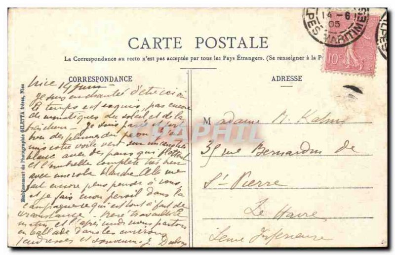 Old Postcard Nice Between the olive trees