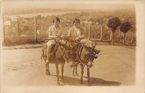 Black and White Photo Donkey Writing on back real photo