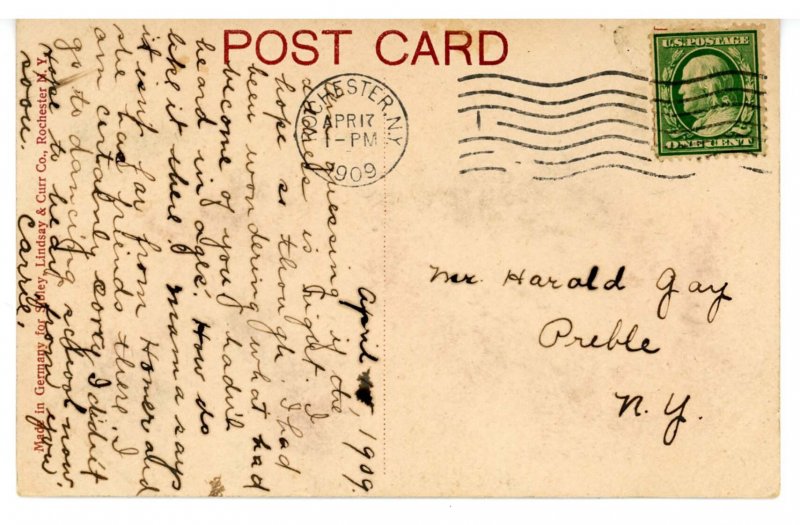 NY - Rochester. Willow Pond Scene