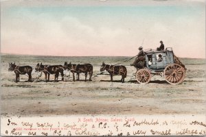 A South African Saloon Coach c1906 Postcard E72