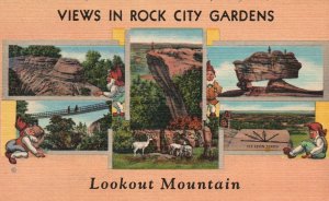 Vintage Postcard Views In Rock City Gardens Lookout Mountain Beautiful Nature GA