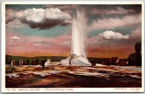 Castle Geyser Yellowstone National Park Wyoming WY Scenic Attraction Postcard