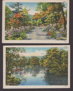 2 Scenic Postcards White Border