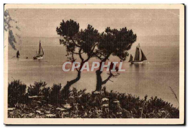 Old Postcard Bretangne ​​Douarnenez (Finistere) Output tuna vessels