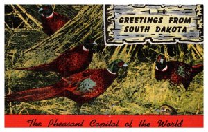 Vintage 1940s Postcard Greetings from South Dakota Pheasant Capital