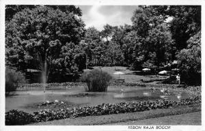 Bogor Indonesia Kebon Raja Scenic View Real Photo Postcard J55733