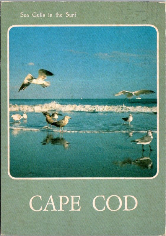 Massachusetts Cape Cod Sea Gulls In The Surf  1986