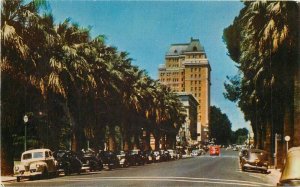 California Sacramento Palm lined Street Autos Roberts Spangler Postcard 21-13486