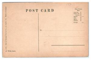 Early 1900s The Pike at Long Beach, CA Postcard *5K2