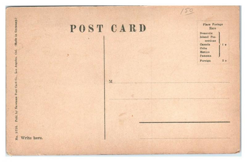 Early 1900s The Pike at Long Beach, CA Postcard *5K2