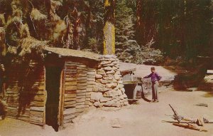 Tharp's Log - Home of Hale Tharp - Sequoia National Park CA, California