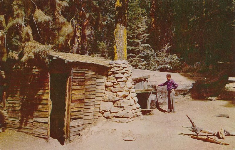 Tharp's Log - Home of Hale Tharp - Sequoia National Park CA, California