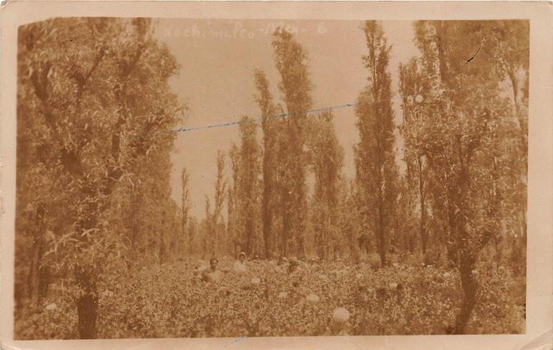 D70/ Xochimilco Mexico City Foreign RPPC Postcard Workers Flower Field Gardens