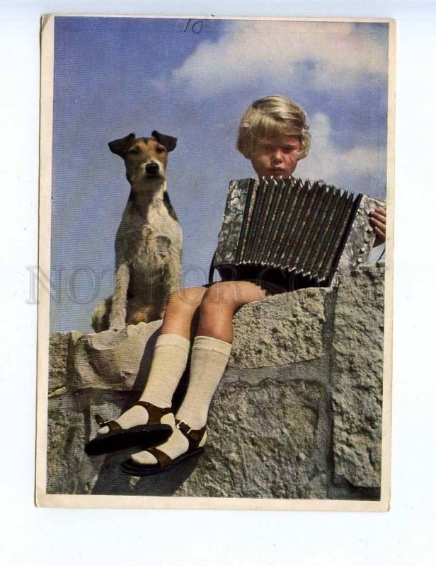 201806 Musician accordion fox terrier dog vintage postcard