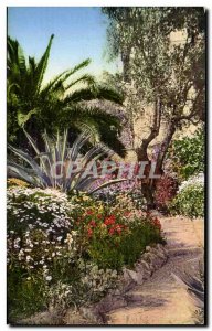 Old Postcard Sanremo Italy Italia Flora della Riviera