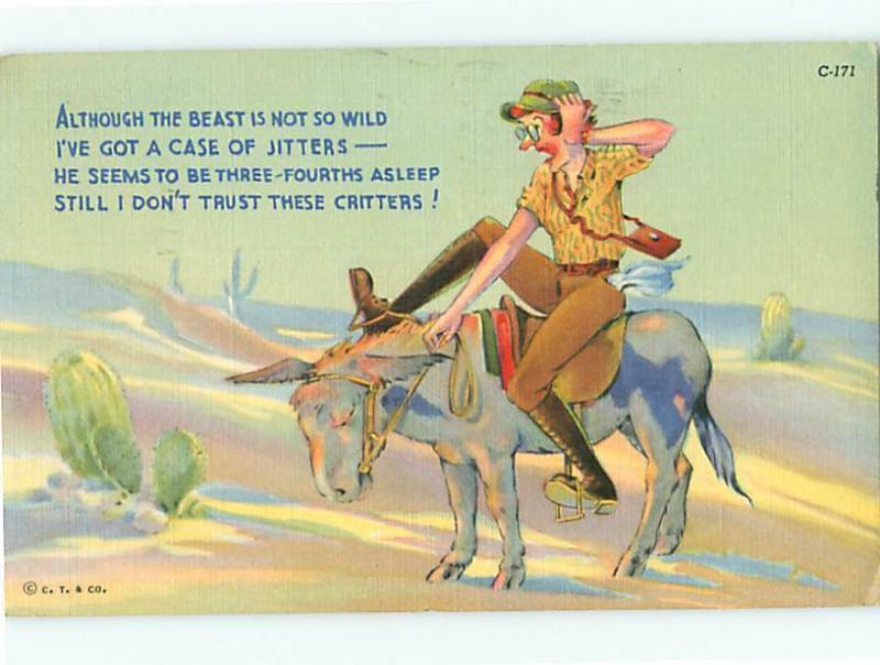 Humor Cartoon Mule Tourist Cowboy on Donkey C-171 Desert Cactu  Postcard # 6770