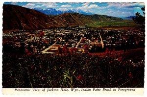 Indian Paint Brush Wyoming State Flower overlooking Jackson Hole