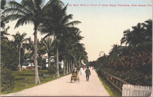 USA The Main Walk Hotel Royal Poinciana Palm Beach Florida Postcard 05.25