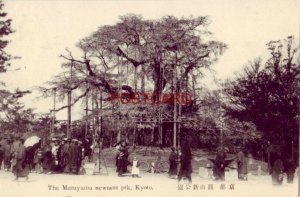 Japan. THE MARUYAMA NEWNESS PRK, KYOTO. the weeping cherry tree