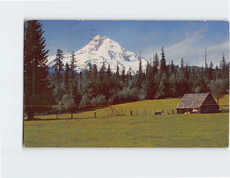 Postcard Picturesque Mount Hood as seen from the East Oregon USA