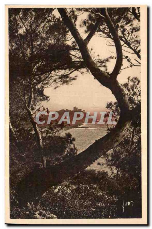 Postcard Old French Riviera Cap Ferrat seen through the Aleppo Pines