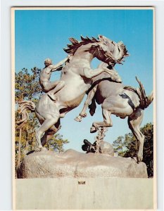 Postcard Fighting Stallions Brookgreen Garden South Carolina USA