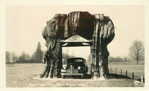 Arlington Washington Drive Through Stump 1930s RPPC Photo Ellis Postcard 21-4980