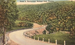 Vintage Postcard Highway Roadway in Shenandoah National Park Virginia V.A.