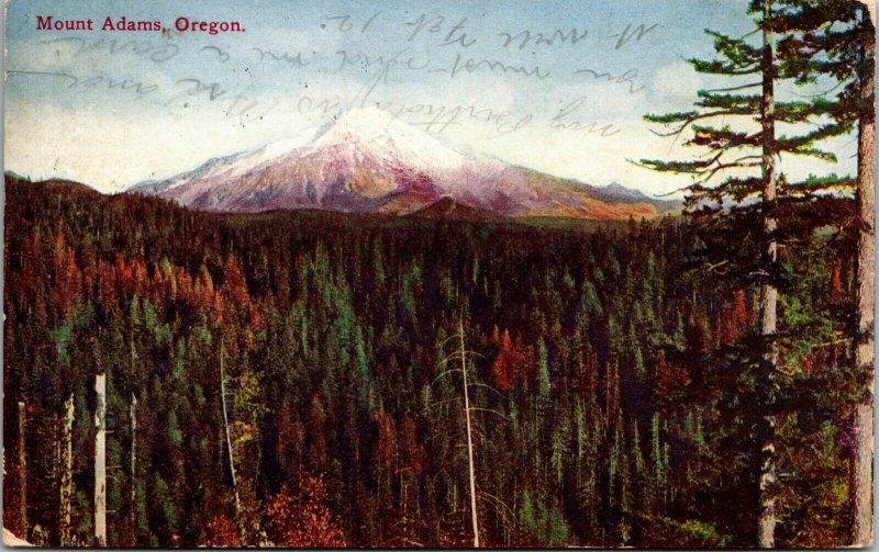 US MOUNT ADAMS OREGON TREETOP VIEW POSTED - POSTCARD