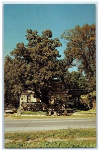 c1950 Post Office Oak  Roadside Building Trees Council Grove Kansas KS Postcard