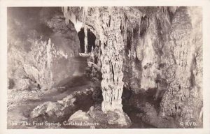 New Mexico Carslbad Cavern Cave The First Spring Real Photo