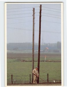 Postcard Vierpolders, Netherlands