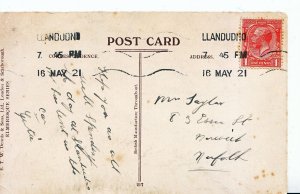 Genealogy Postcard - Family History - Taylor - Norwich - Norfolk  2126