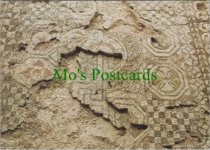 Sussex Postcard - Fishbourne Roman Palace, Mosaic Floor RR15500