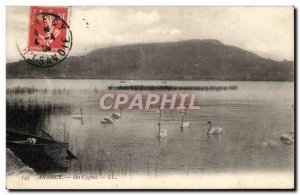 Old Postcard Annecy Swans