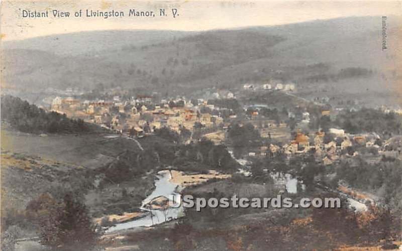 Distant View - Livingston Manor, New York