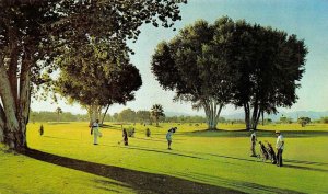 NEEDLES, CA California   MUNICIPAL GOLF COURSE  Golfers~Fairway  1970 Postcard