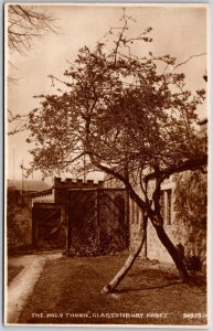 The Holy Thorn Clastonbury Abbey Somerset England Real Photo RPPC Postcard