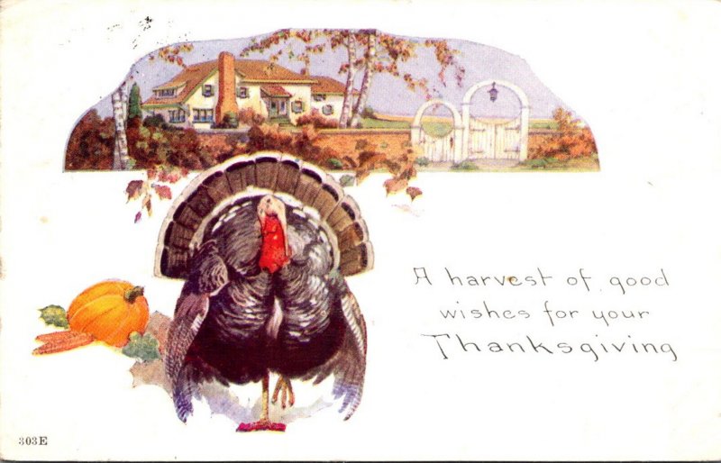 Thanksgiving Greetings With Turkey 1925