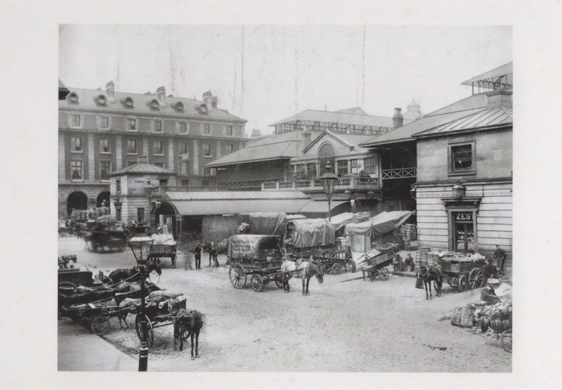 Fruit & Vegetable Market in Victorian Covent Garden Photo Postcard