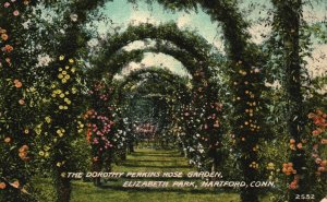 Vintage Postcard 1910's Dorothy Perkins Rose Garden Elizabeth Park Hartford Conn