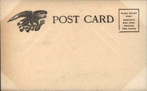 Pretty Woman with Apples c1905 Postcard