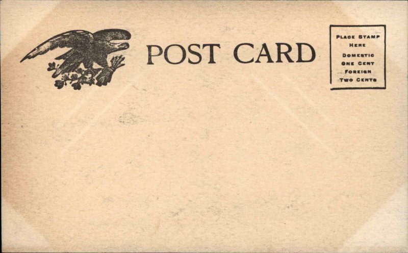 Pretty Woman with Apples c1905 Postcard