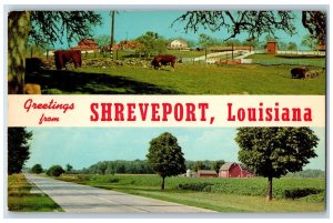 Shreveport Louisiana LA Postcard Greetings Country Road And Farm Scene c1960's