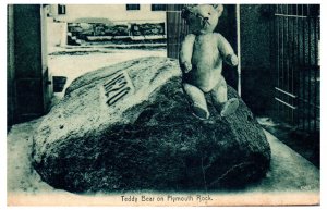 1907 Teddy Bear on Plymouth Rock Plymouth MA Postcard