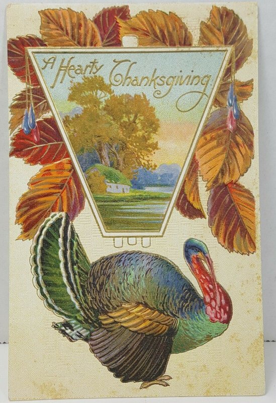Hearty Thanksgiving Turkey 1910s Vintage Antique Postcard