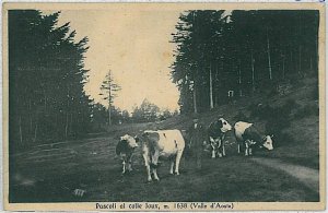 AOSTA province vintage postcard - Saint-Vincent: Col de Joux-