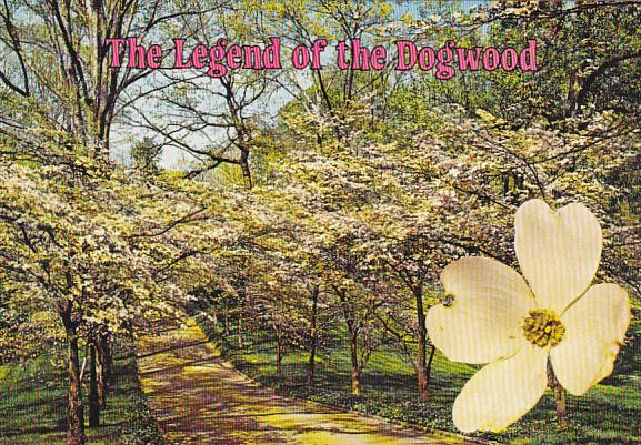 The Legend Of The Dogwood