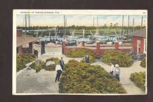 TARPON SPRINGS FLORIDA SPONGES SPONE FISHING FLEET VINTAGE POSTCARD