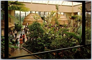 Tropical Plants Including Google Trees Hershey's Chocolate Pennsylvania Postcard